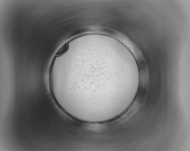 X0000101701100200807311427