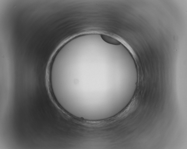 X0000101701101200807311427