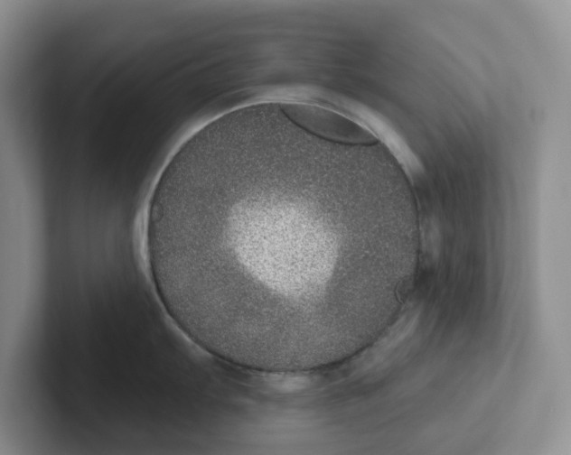 X0000101701103200807311427