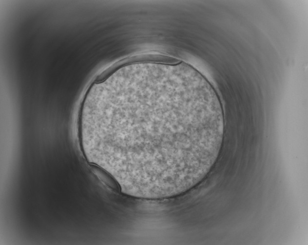 X0000101701104200807311427