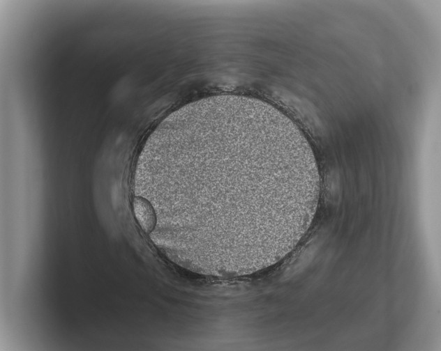 X0000101701105200807311426