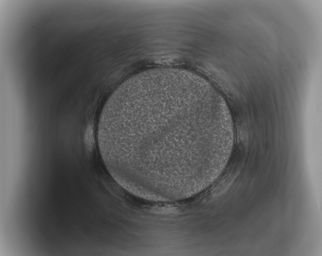 X0000101701106200807311426