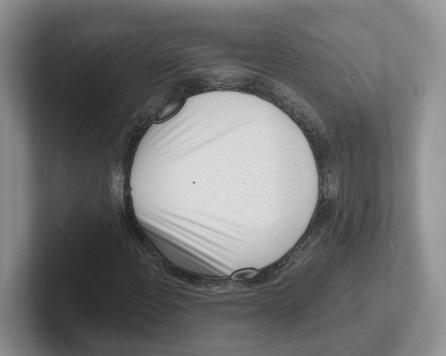 X0000101701108200807311426