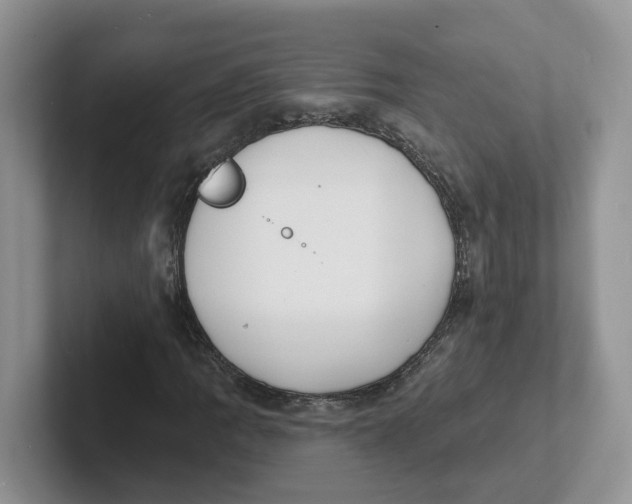 X0000101701109200807311426