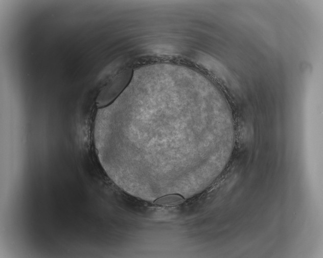 X0000101701110200807311426