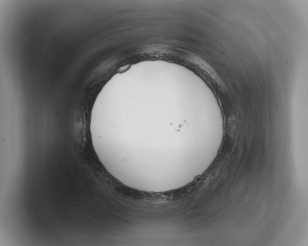 X0000101701111200807311426