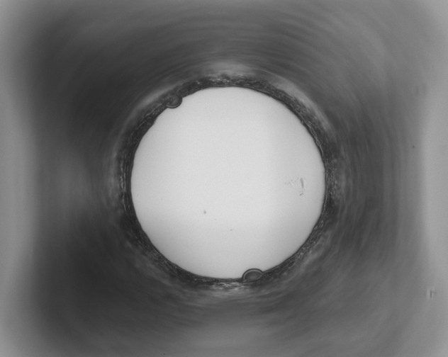 X0000101701112200807311426