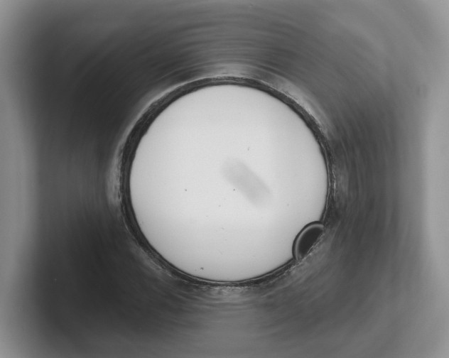 X0000101701116200807311426