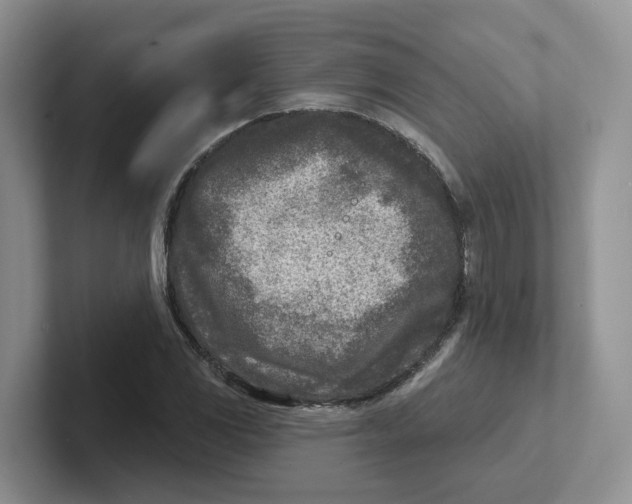 X0000101701117200807311426