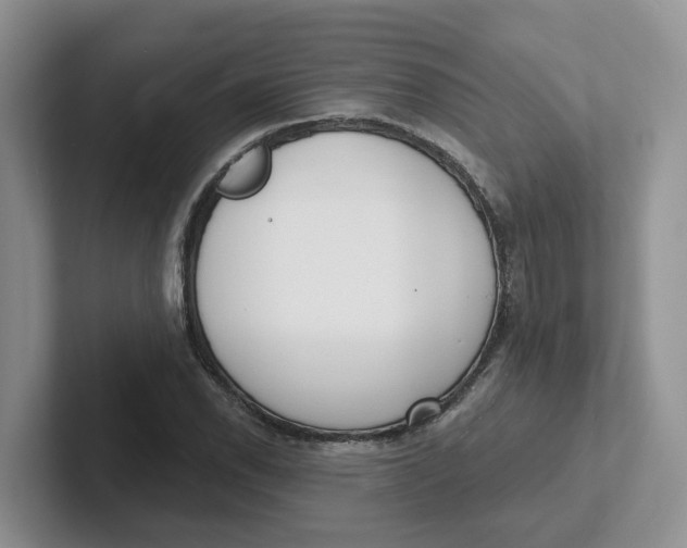 X0000101701118200807311426