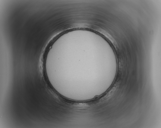 X0000101701119200807311426