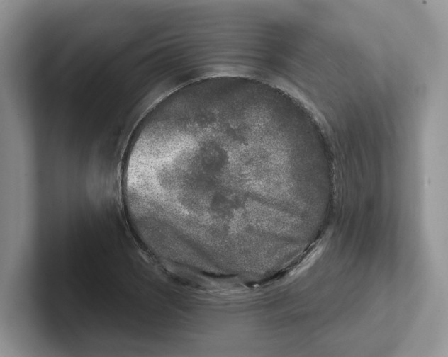 X0000101701121200807311426