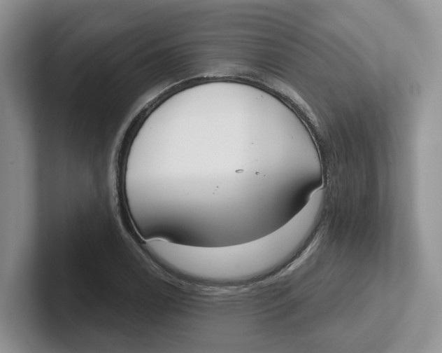 X0000101701122200807311426