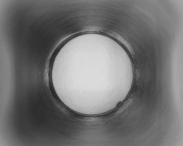 X0000101701124200807311426