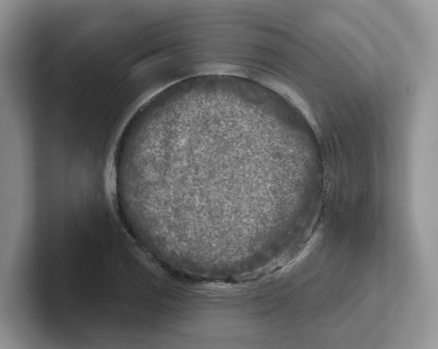 X0000101701125200807311426