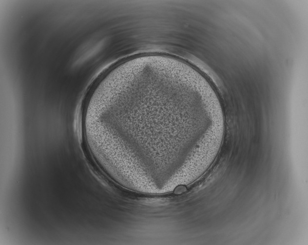 X0000101701127200807311426