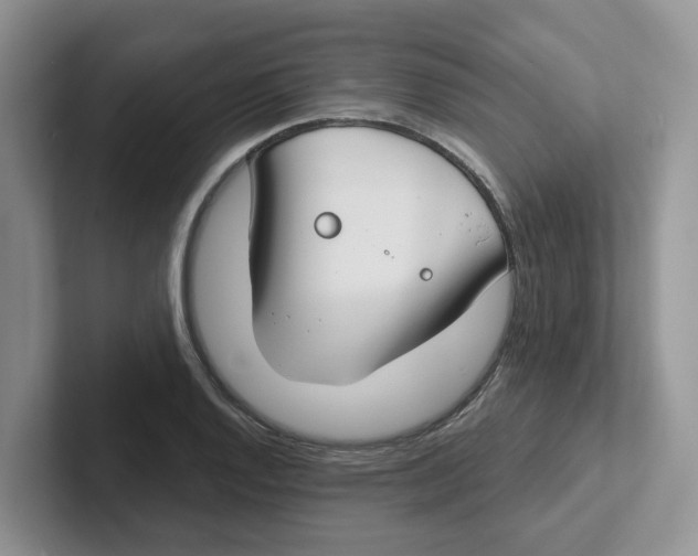 X0000101701128200807311426