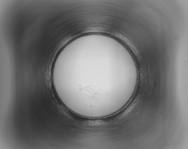 X0000101701129200807311426