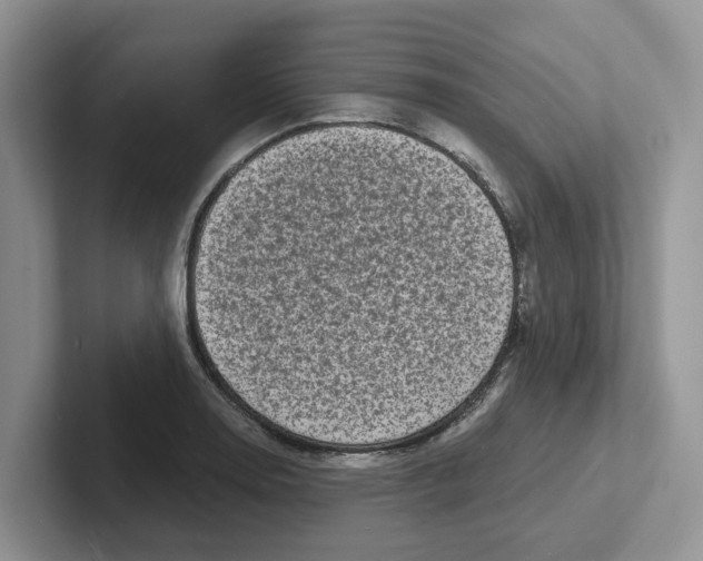 X0000101701130200807311426