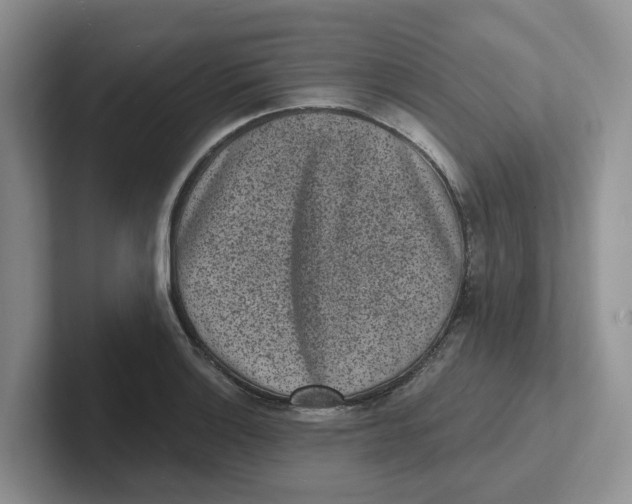 X0000101701132200807311426