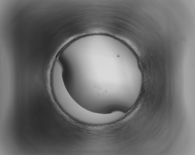 X0000101701134200807311426