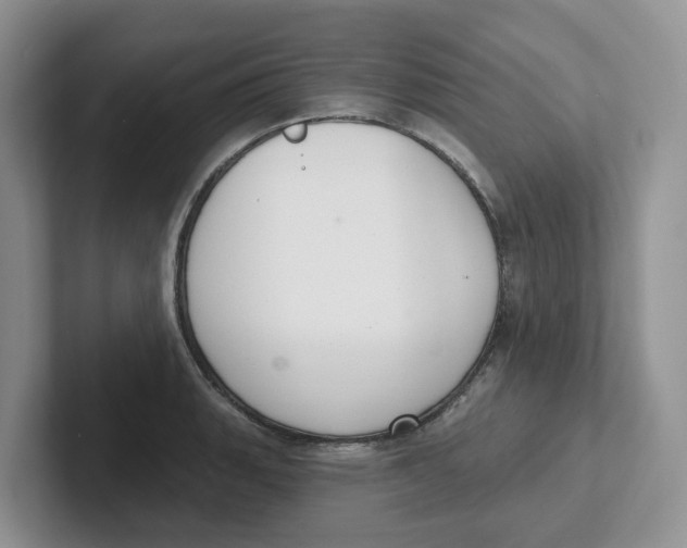 X0000101701135200807311426