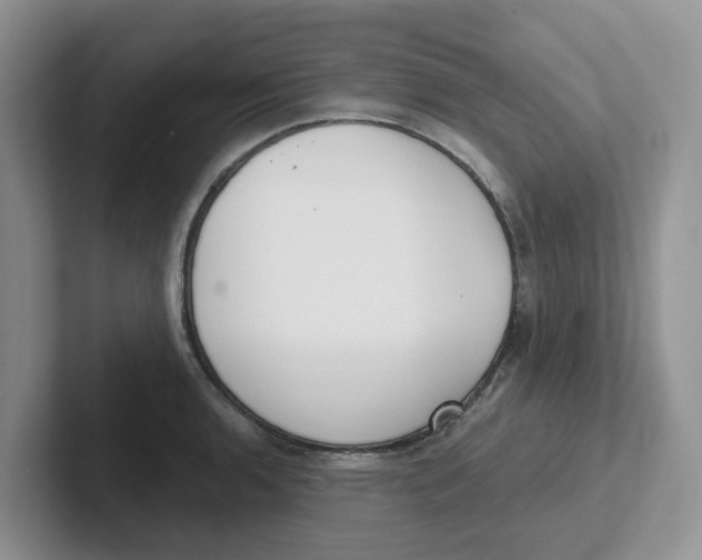 X0000101701136200807311426