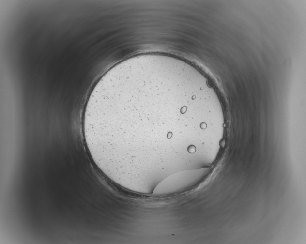 X0000101701137200807311426