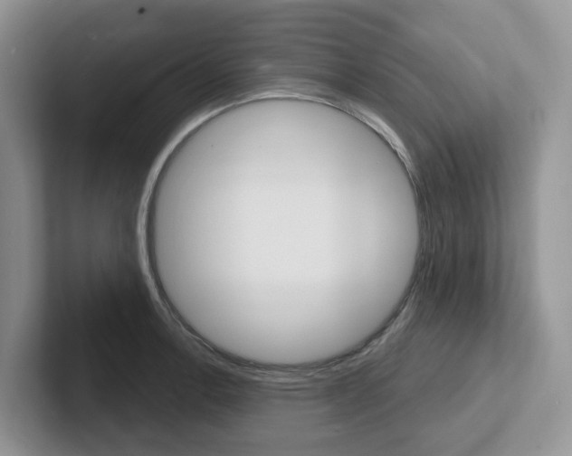 X0000101701138200807311426