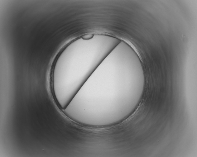 X0000101701139200807311426