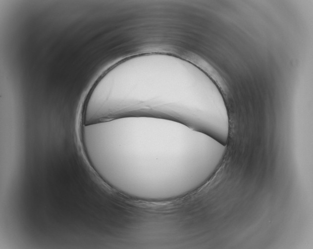 X0000101701140200807311427