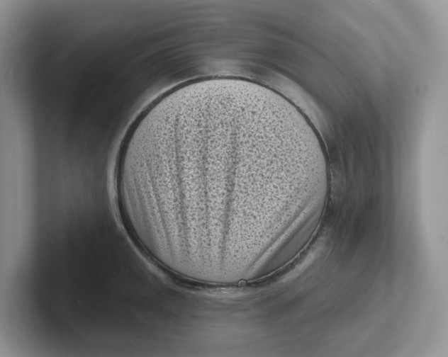 X0000101701141200807311427