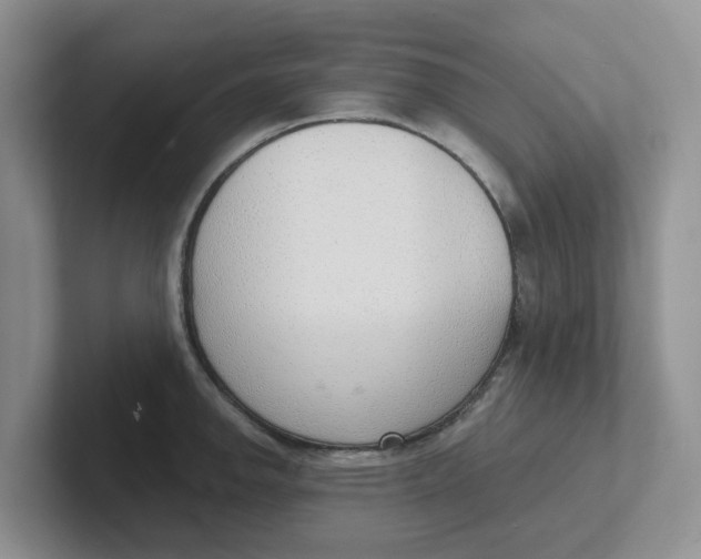 X0000101701142200807311427