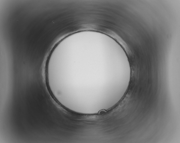 X0000101701143200807311427