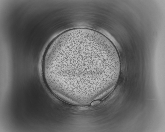 X0000101701144200807311427