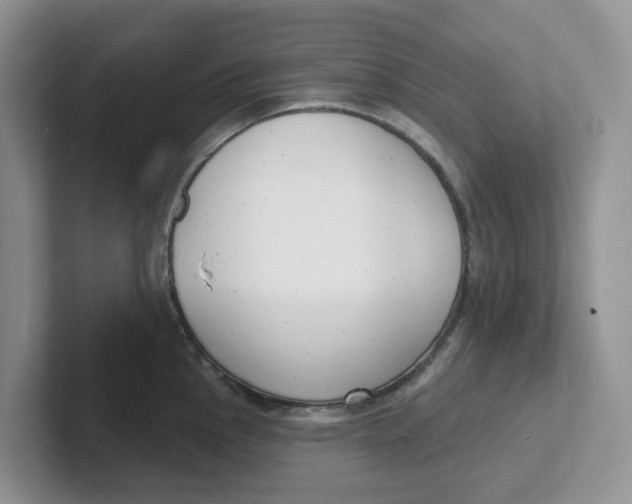 X0000101701145200807311427