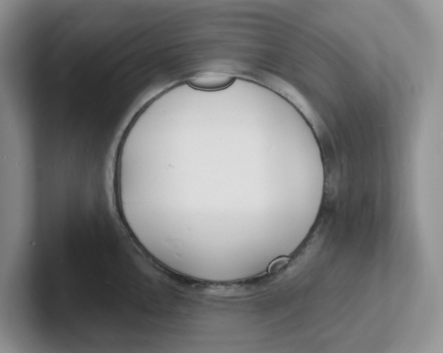 X0000101701146200807311427