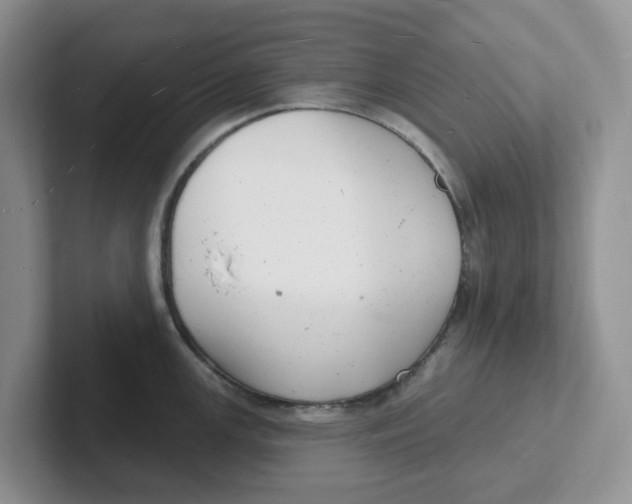 X0000101701147200807311427