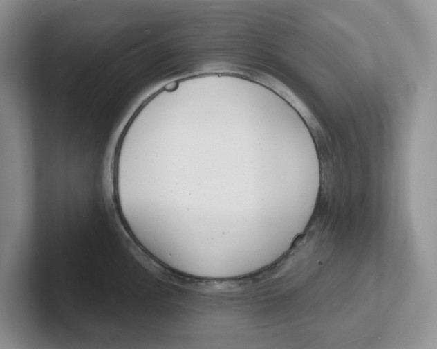 X0000101701148200807311427