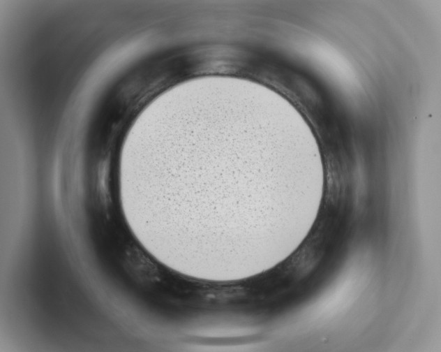 X0000101701150200807311427