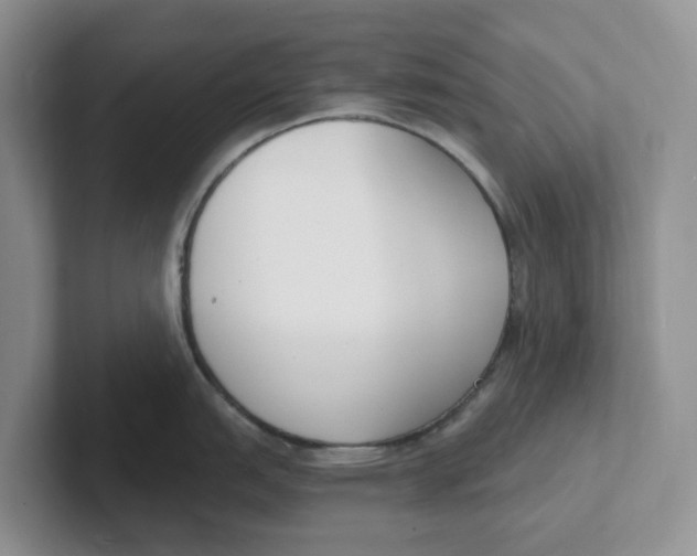 X0000101701151200807311427