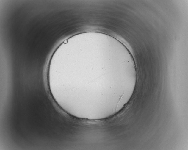 X0000101701152200807311427