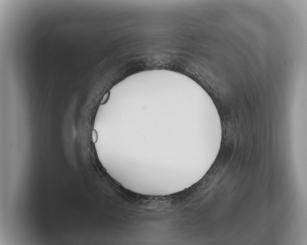 X0000101701153200807311426