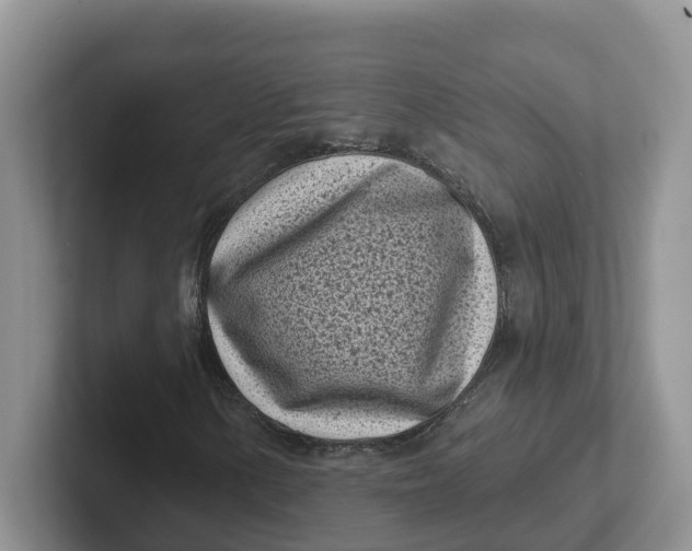 X0000101701154200807311426