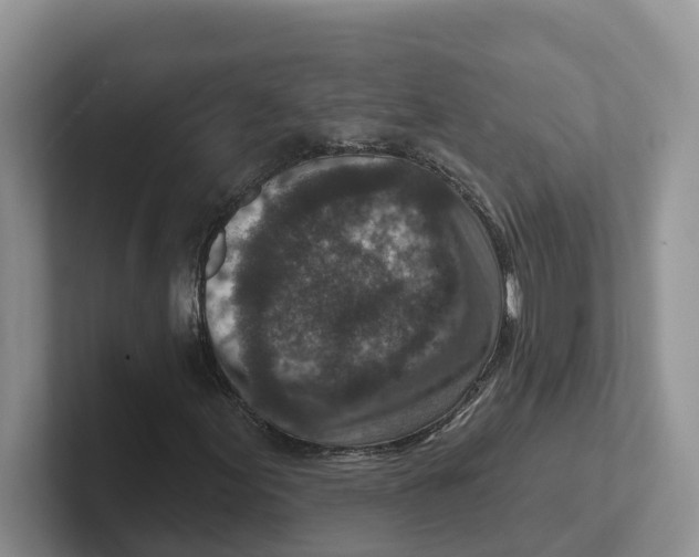 X0000101701155200807311426