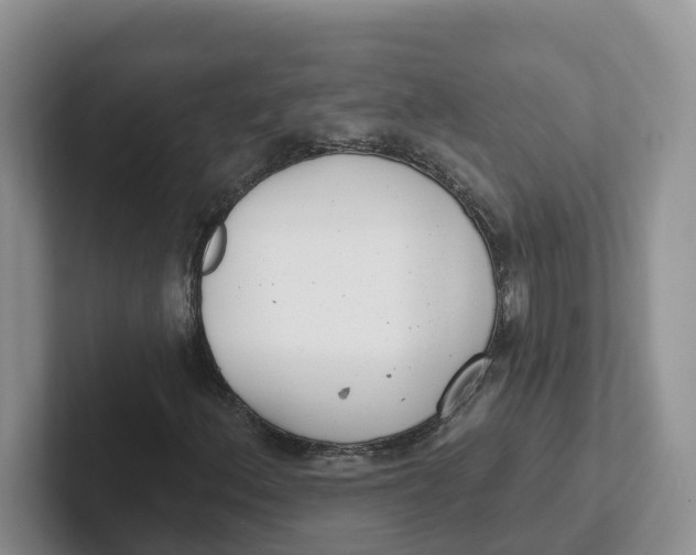 X0000101701156200807311426