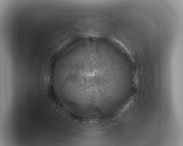 X0000101701157200807311426