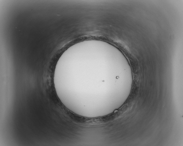 X0000101701159200807311426