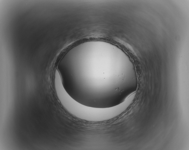 X0000101701160200807311426