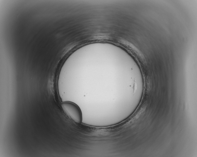 X0000101701162200807311426